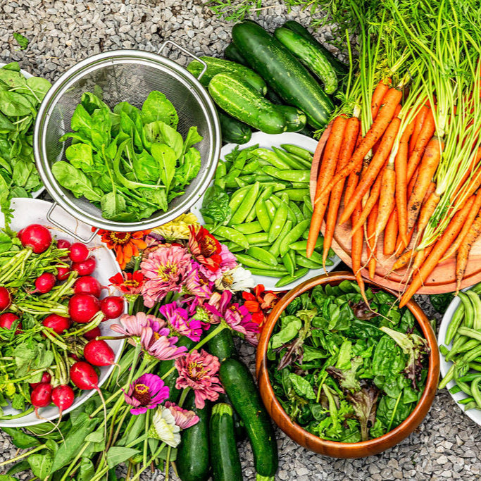 10 Essential Garden Seeds - Free with Shipping