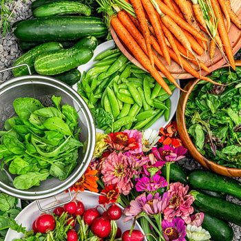 Small Garden Gift Bundle