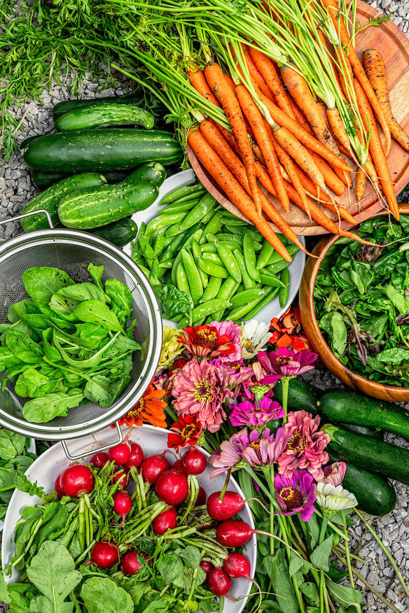 Small Garden Gift Bundle