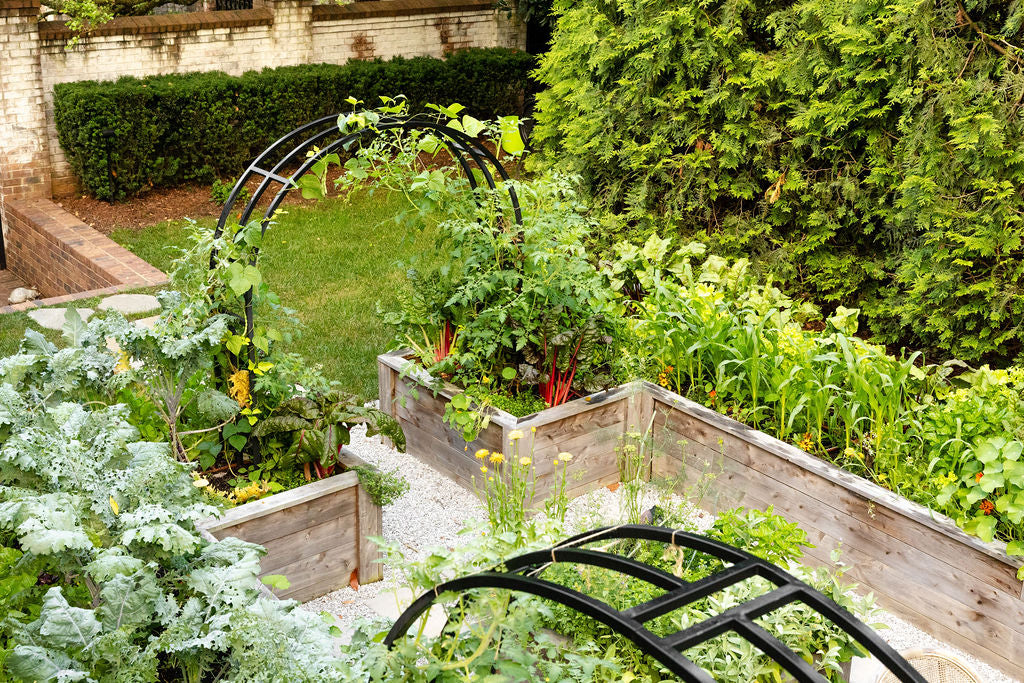 Nicole Arch Trellis