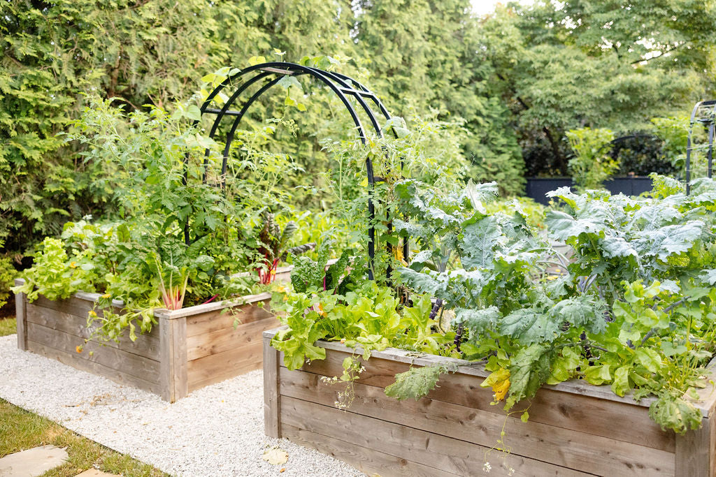 Nicole Arch Trellis