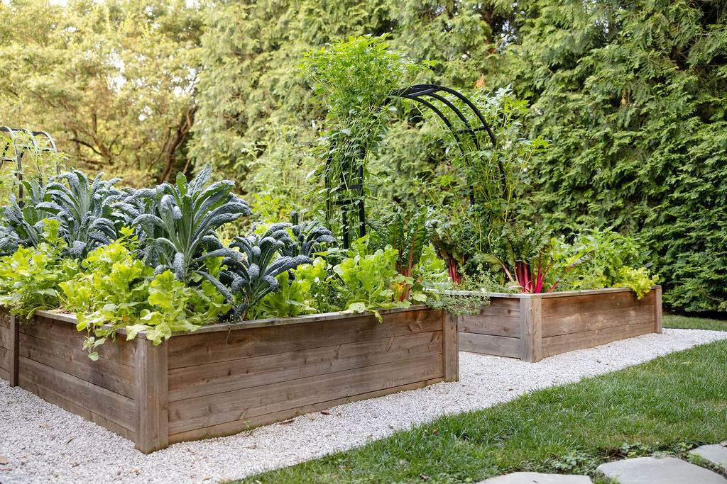 Nicole Arch Trellis