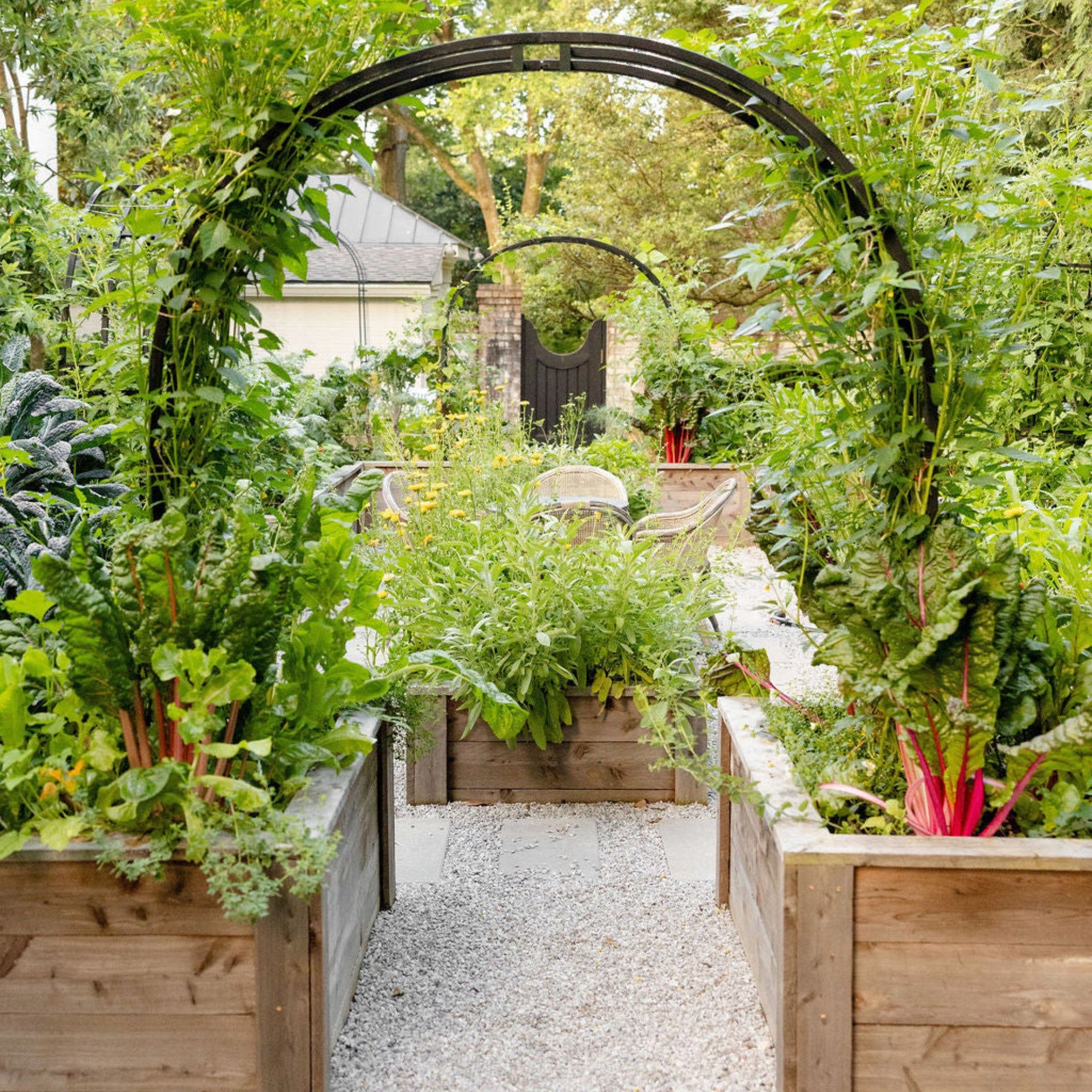 Garden pathway with raised wooden planters and greenery