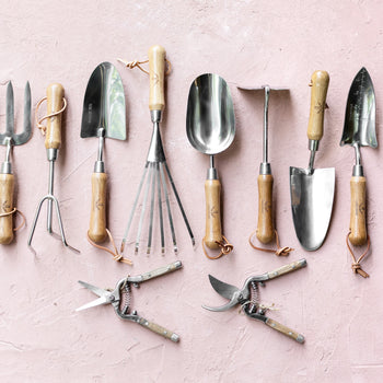 What is the Best Garden Tool Set: Top Picks Unveiled