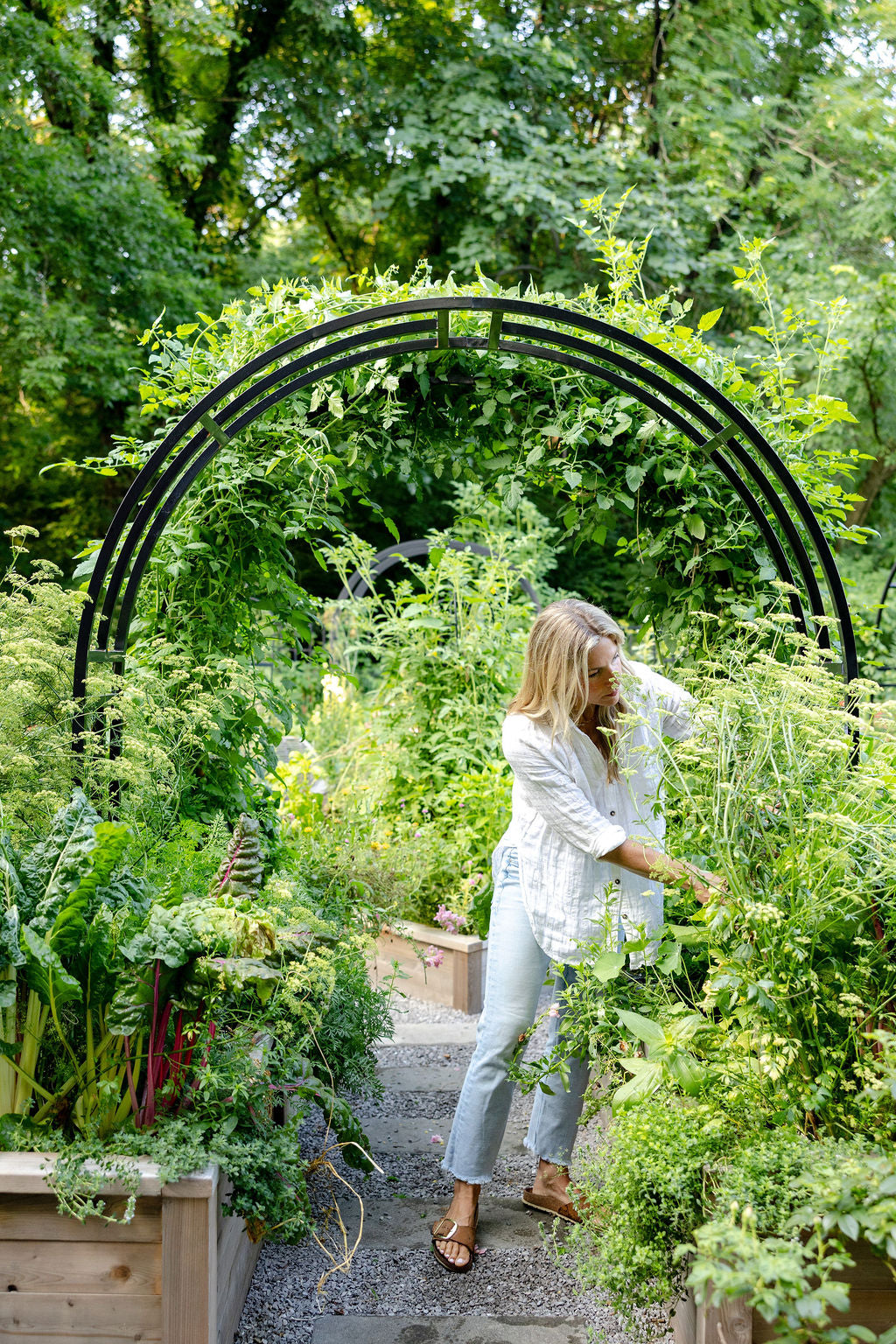 Nicole Arch Trellis