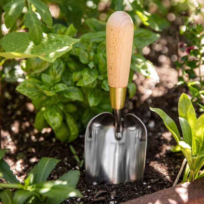 Stainless and Brass Trowel