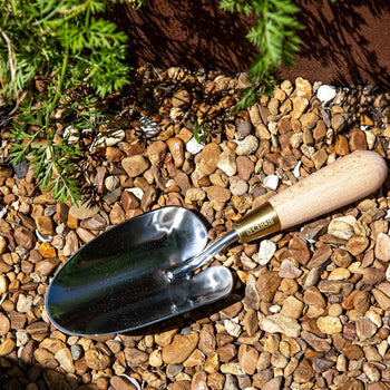 Stainless and Brass Trowel