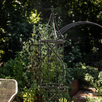 Border Tuteur Trellis