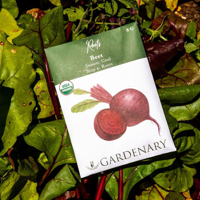 Root Vegetable Grow Kit