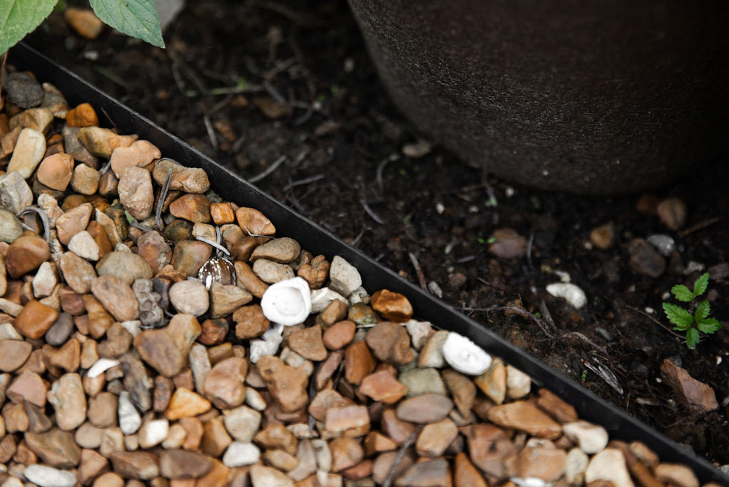 Steel Edging for Kitchen Gardens