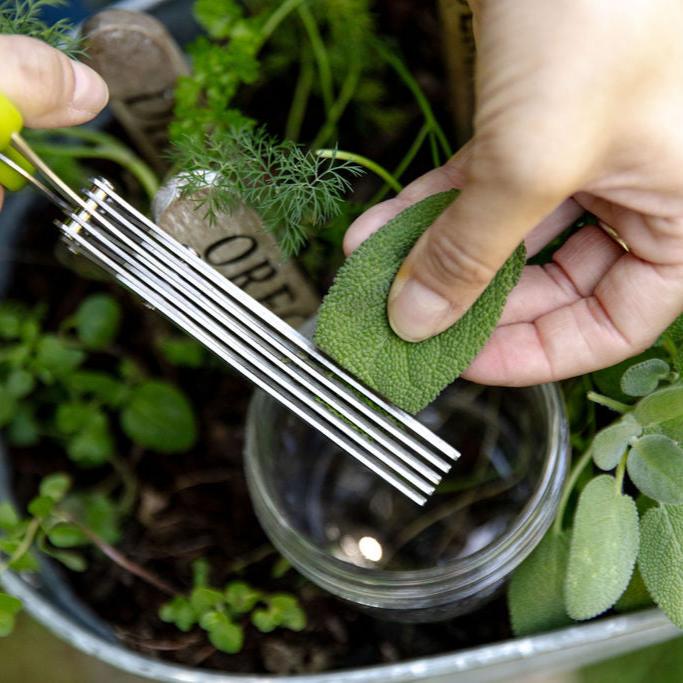 Herb Scissors