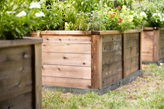 Cedar raised bed for HOA approved backyard garden with flowering vegetable plants