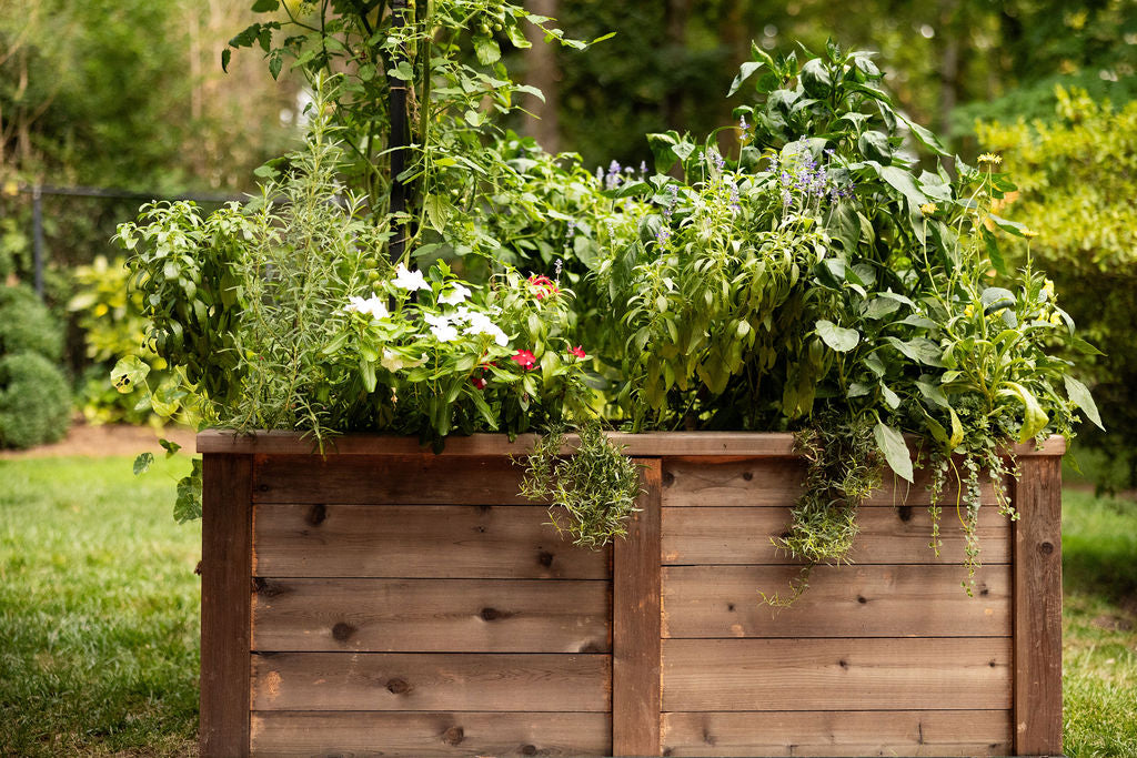 Raised garden bed for organic non-GMO vegetable garden