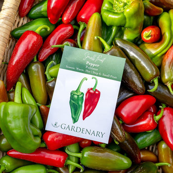 Poblano Pepper Seeds