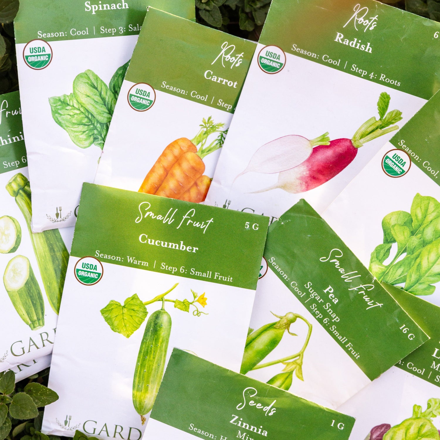 10 Essential Garden Seeds - Free with Shipping