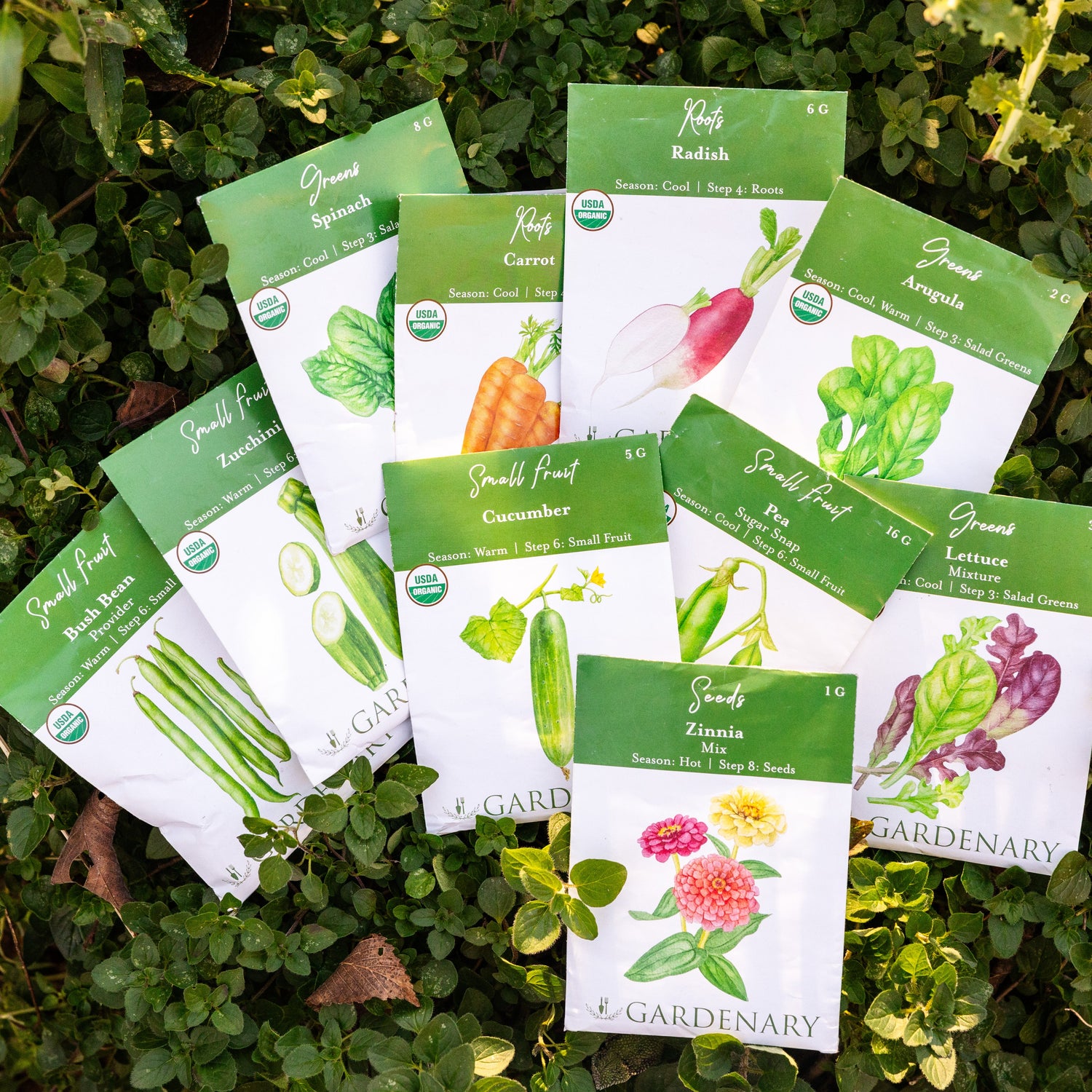 10 Essential Garden Seeds - Free with Shipping