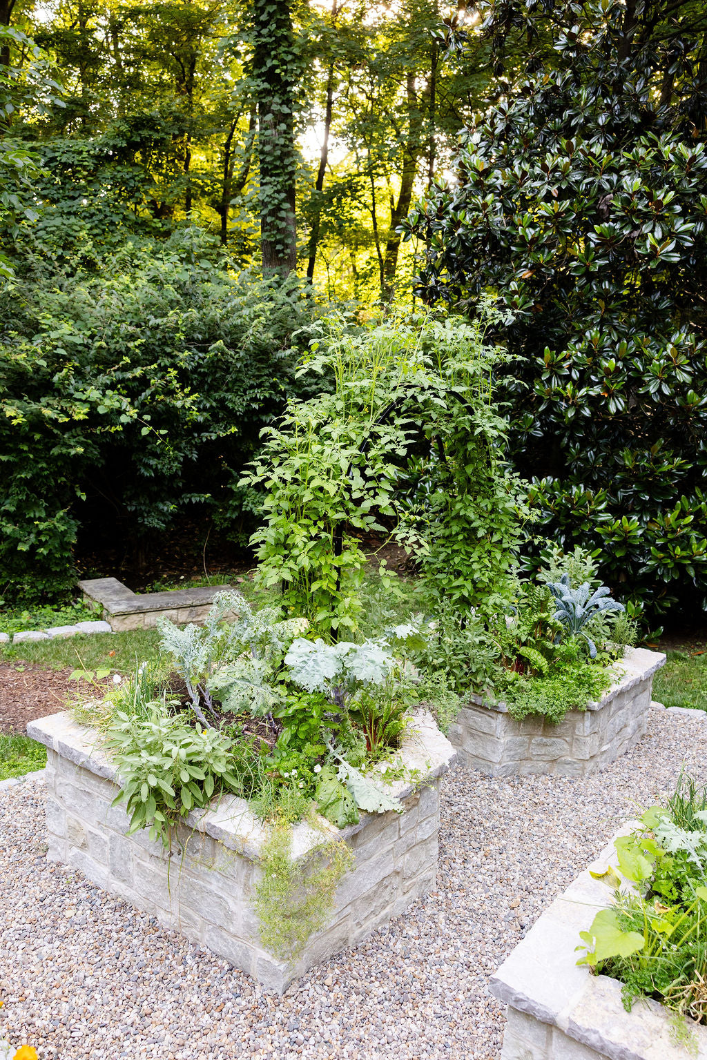 Nicole Arch Trellis