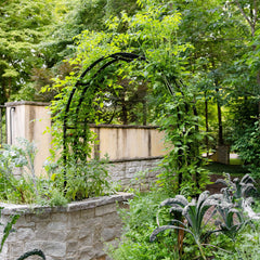 Garden with stone walls and greenery, featuring a stone archway.