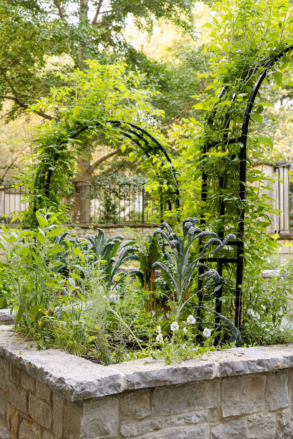 Nicole Arch Trellis