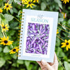 Warm & Hot Season Garden Planners