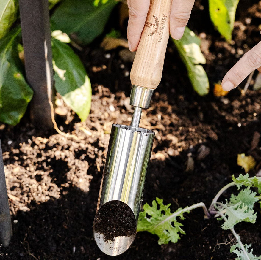 Gardenary Bulb Planter