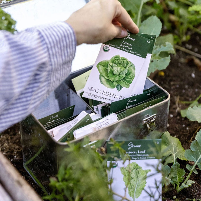 Fall Seed Essentials