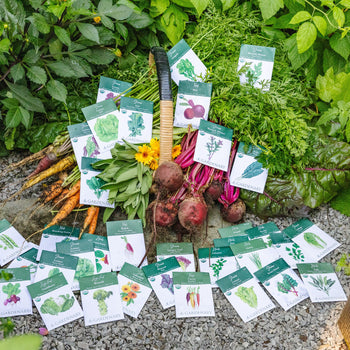 NEW! Fall Seed Collection