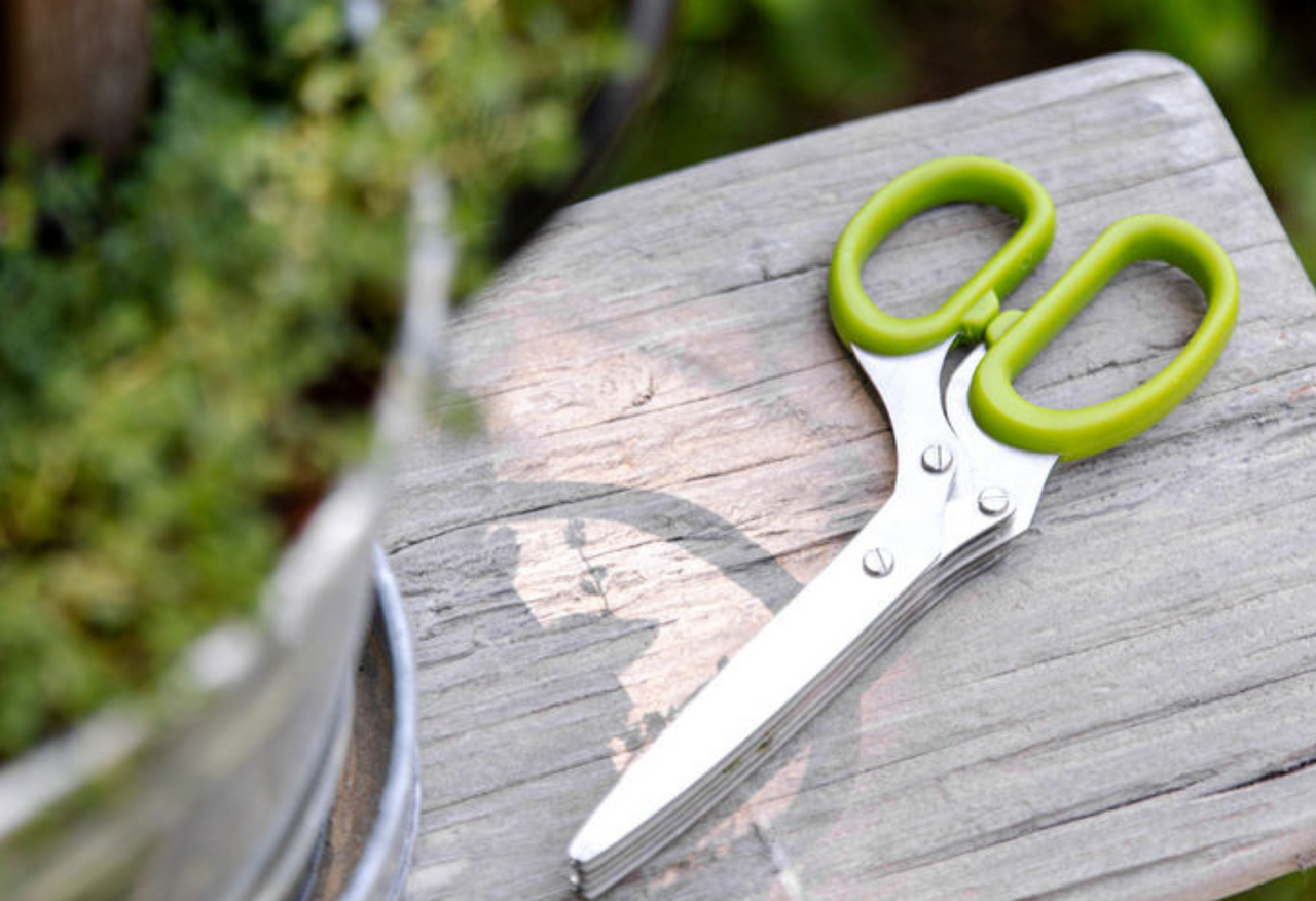 Herb Scissors