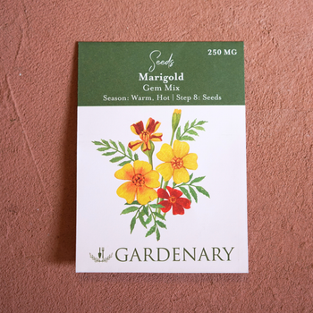 Gem Mix Marigold Seeds