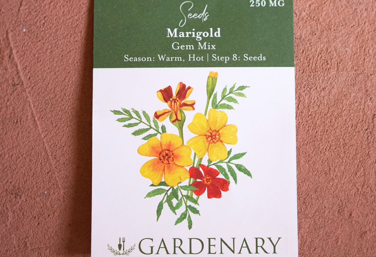 Gem Mix Marigold Seeds