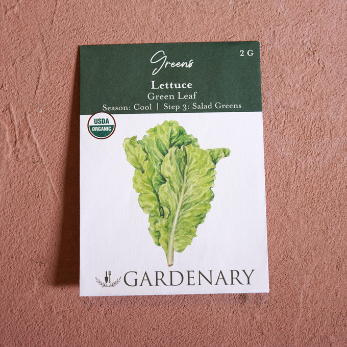 Salad Garden Seed Collection