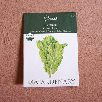 Green Leaf Lettuce Seeds