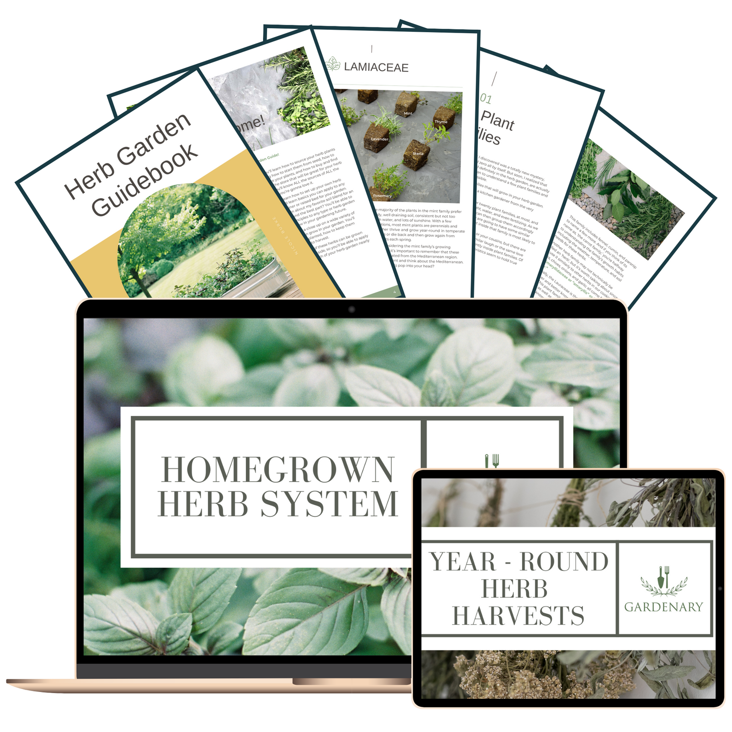 How to Grow Herbs in Raised Bed Guide: Easy Steps for Success