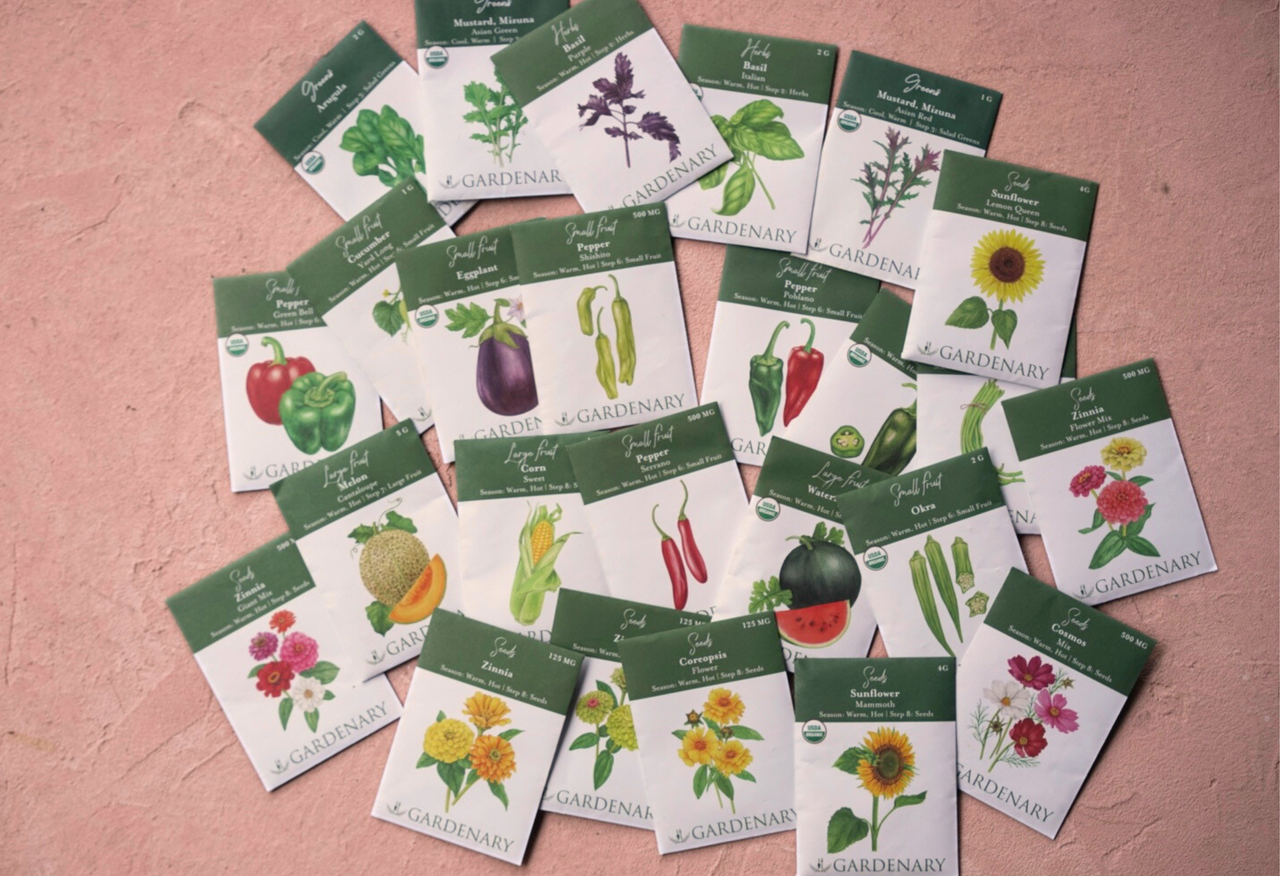 Hot Season Seed Collection