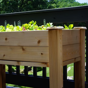 The Salad Garden System