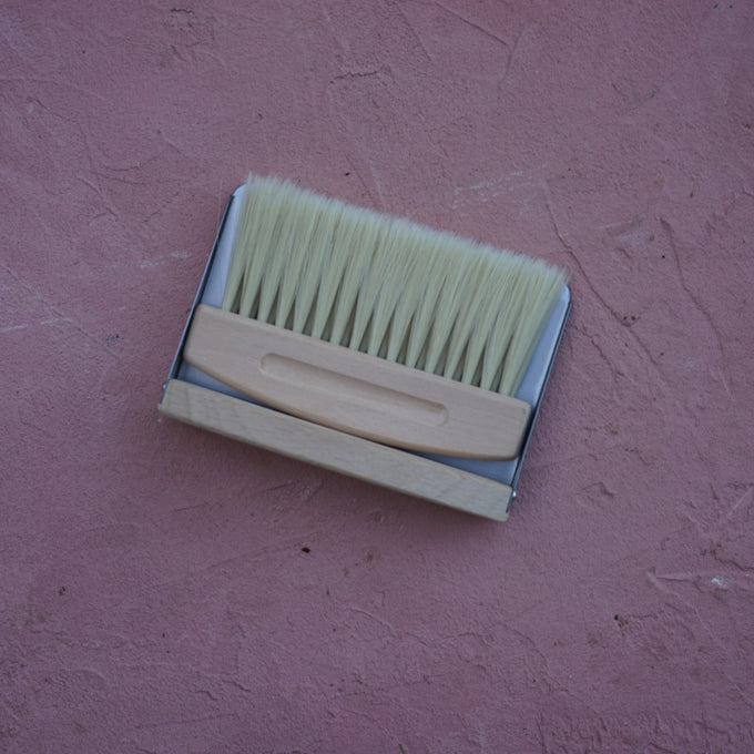 Small Broom and Dust Pan