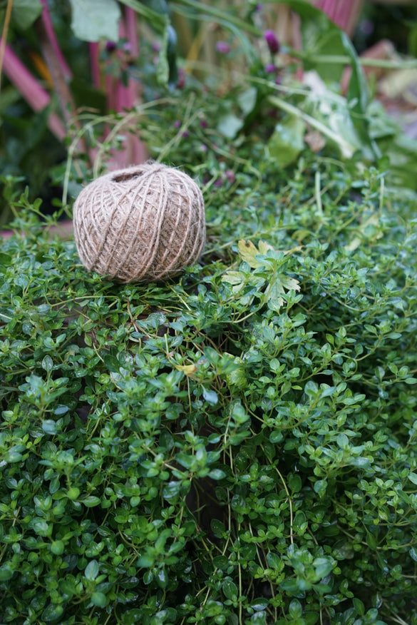 Garden Twine