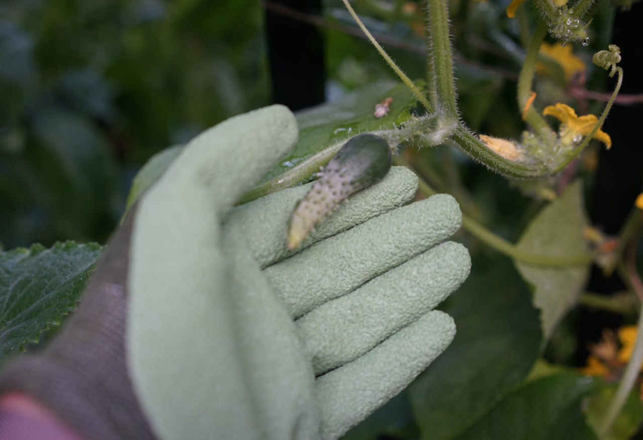 Bamboo Garden Gloves
