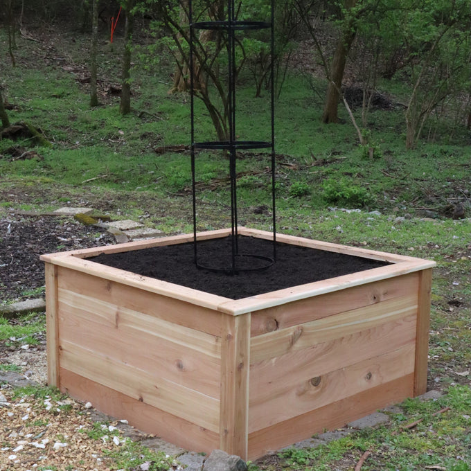 Standard Square Raised Kitchen Garden Package