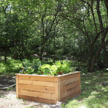 Standard Square Raised Kitchen Garden Package