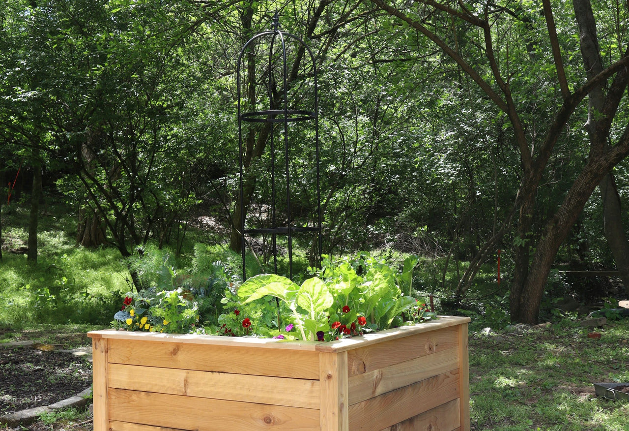 Standard Square Raised Kitchen Garden Package