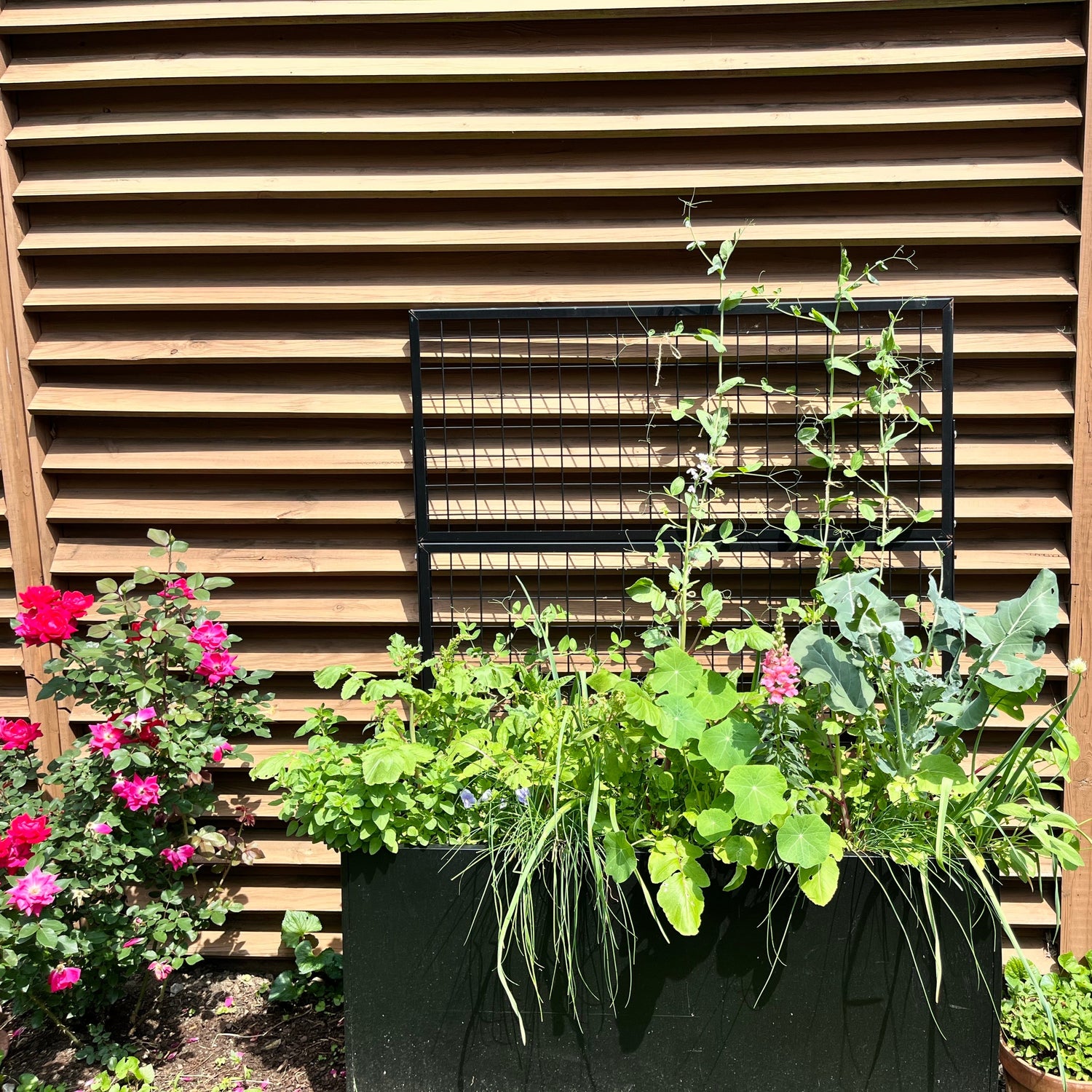 Black Aluminum Raised Bed with Trellis – Optional Casters – Gardenary Shop