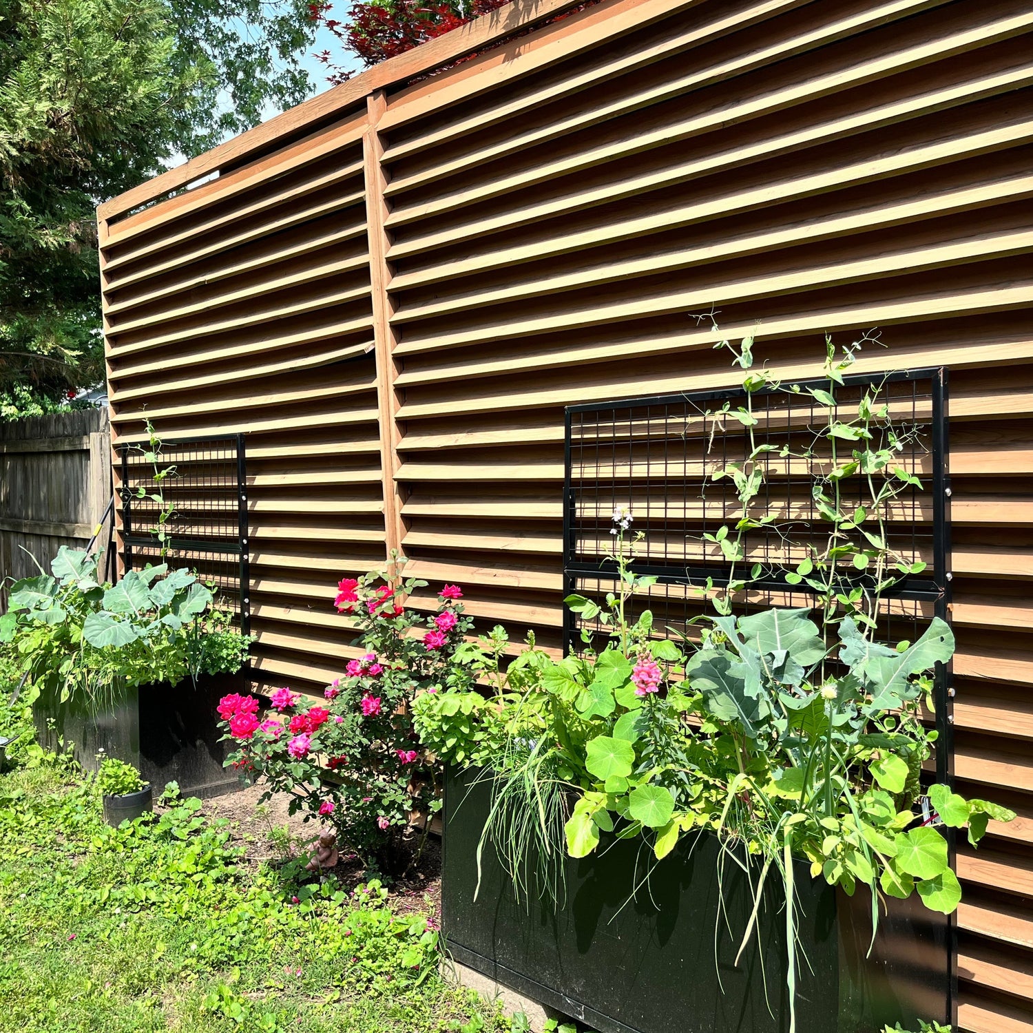 modern trellis planter Black Aluminum Raised Bed with Trellis – Optional Casters – Gardenary Shop