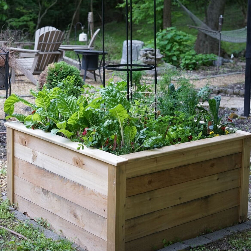 Standard Square Raised Kitchen Garden Package