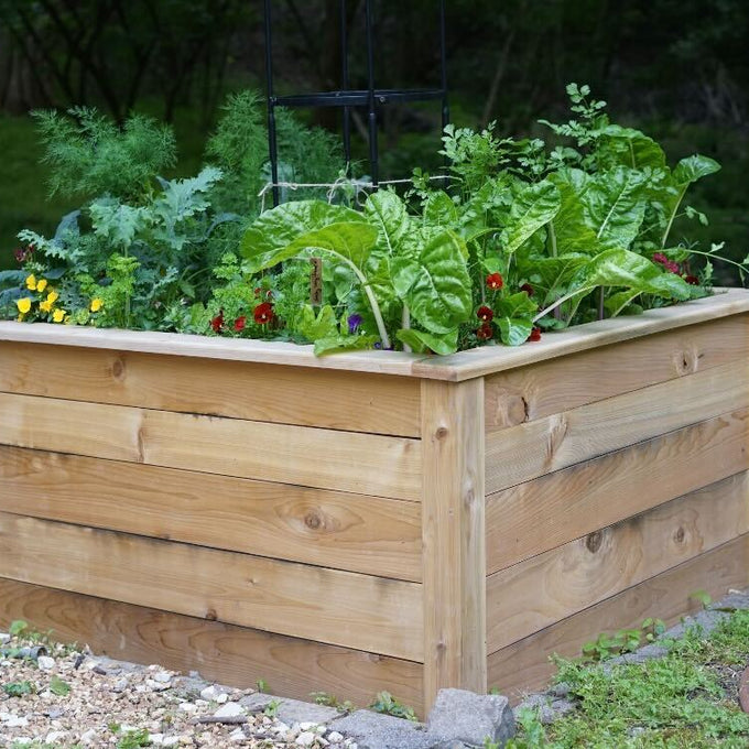 Standard Square Raised Kitchen Garden Package