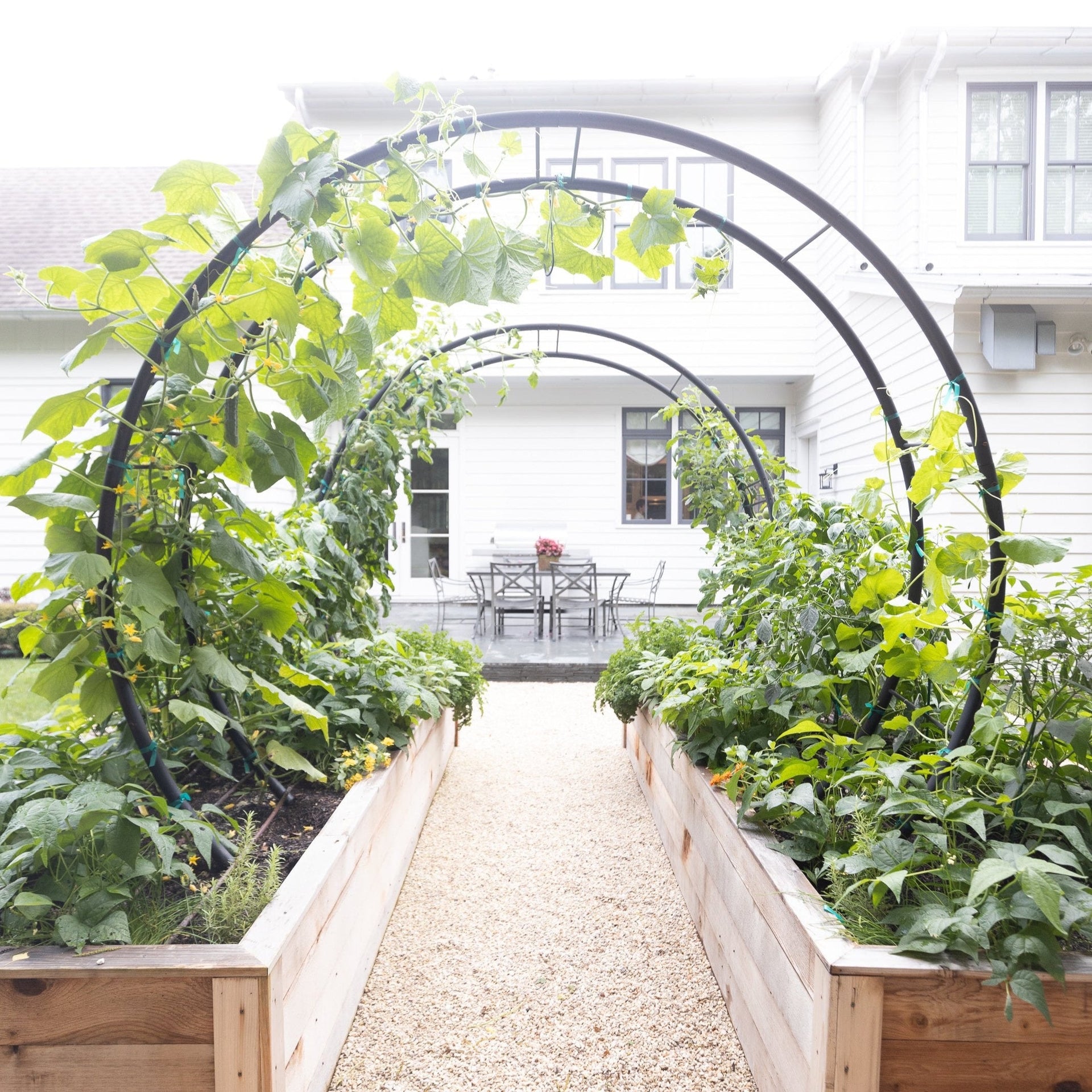 Modern Arch Trellis