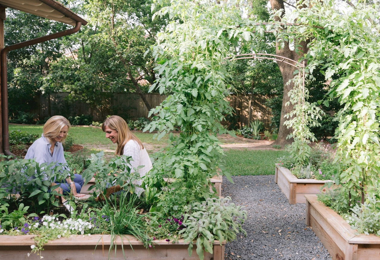 The Amy Kitchen Garden Package: Four 4' x 8' x 1' Cedar Raised Bed Kitchen Garden Package with Two Paris Arch Trellises