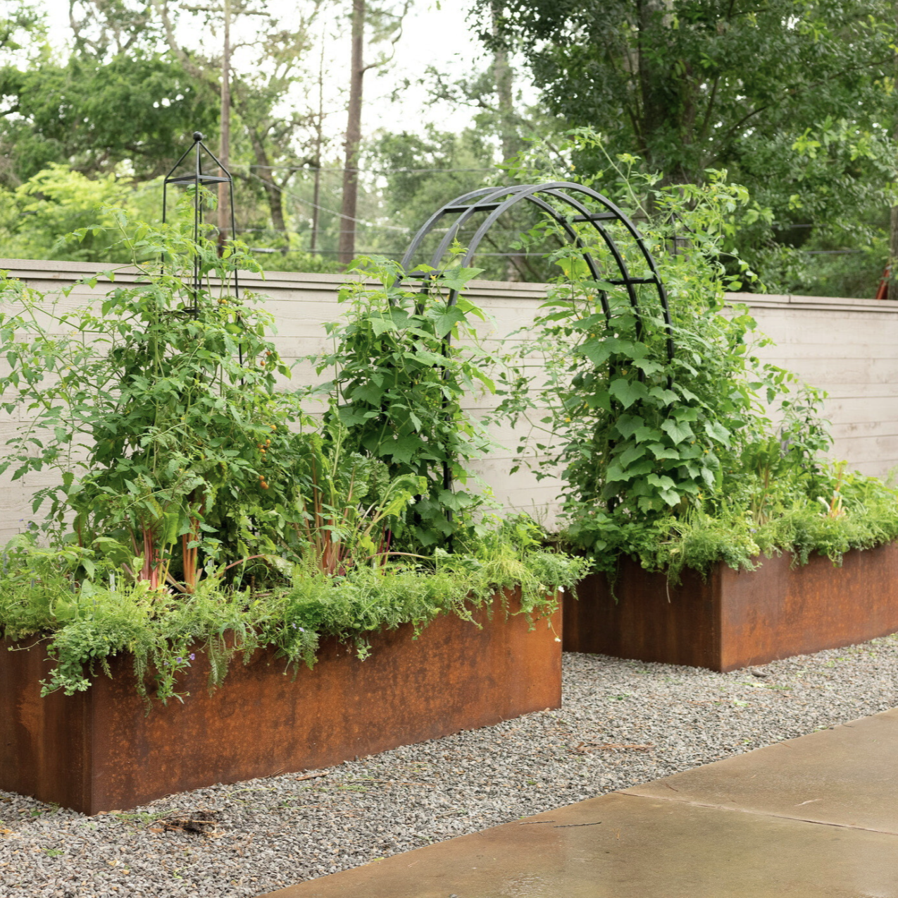 Laura Kitchen Garden Bundle