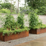 Laura Kitchen Garden Bundle