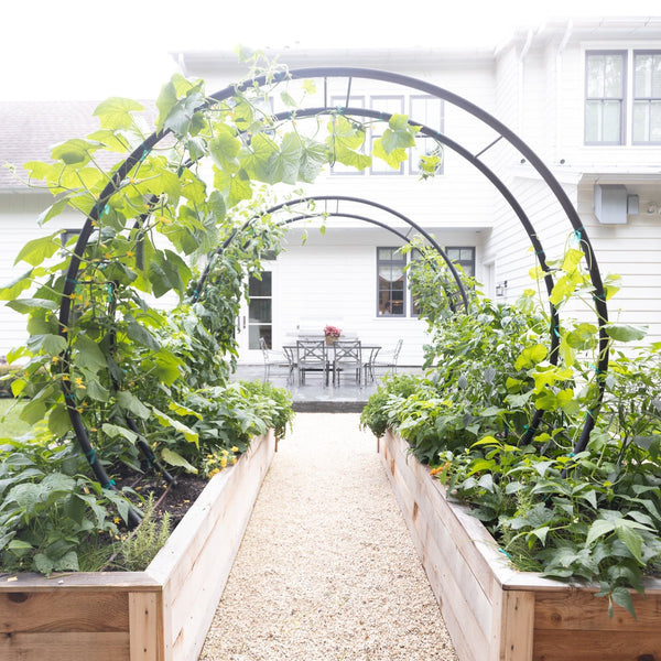 arched wood trellis Modern Arch Trellis